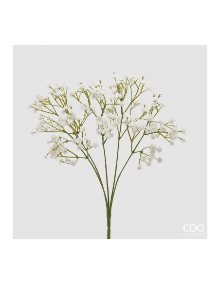GYPSOPHILA CESPUGLIO  BLANCO