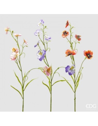 PANSE RAMO MULTICOLOR