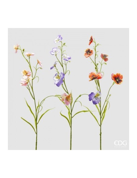 PANSE RAMO MULTICOLOR