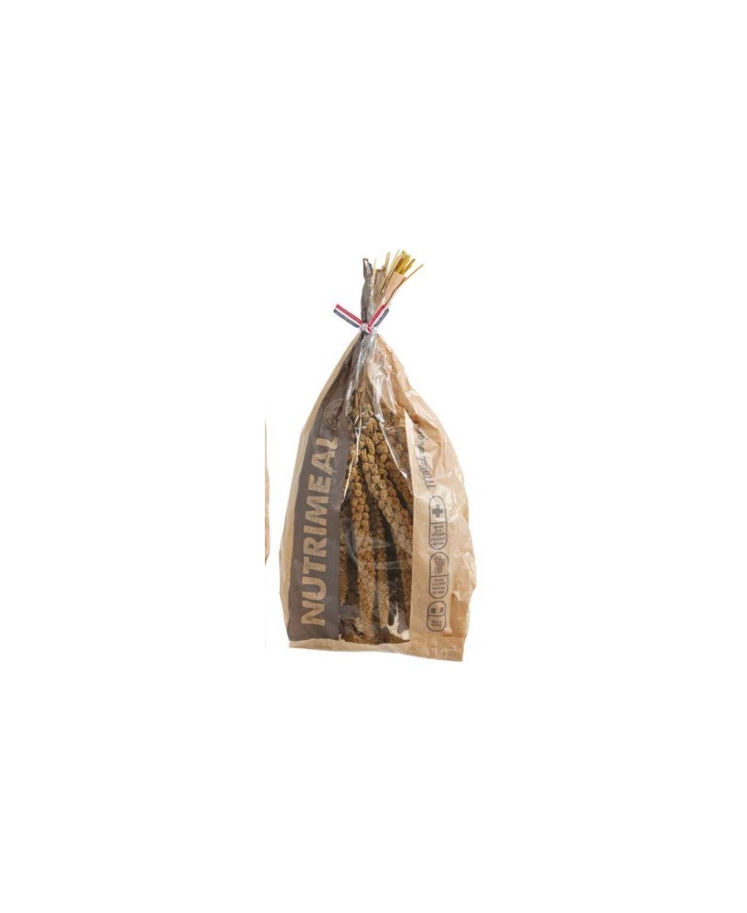 Mijo Menor Amarillo 1KG Alimento Natural para Aves y Roedores