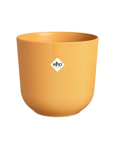 Maceta Jazz 14 cm Amarilla | Diseño Moderno y Alegre para Decorar tu Hogar y Jardín


