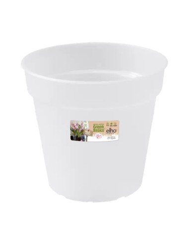 Maceta GB Orquídea 15 cm Transparente  Diseño Elegante y Funcional para Orquídeas | Endanea Garden