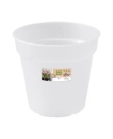 Maceta GB Orquídea 15 cm Transparente  Diseño Elegante y Funcional para Orquídeas | Endanea Garden