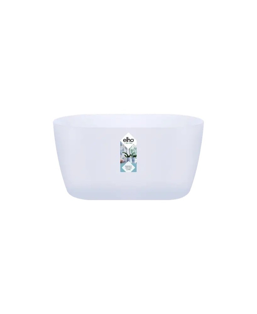Maceta Bruss Orch Duo 25cm Transparente  Elegancia y Visibilidad para tus Plantas | Endanea Garden

