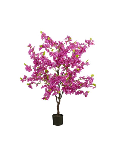 BOUGAINVILLEA LILA   EN MACETA  150X60CM
