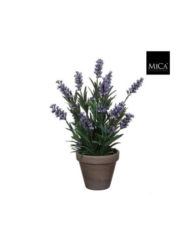 LAVANDA AZUL EN MACETA 30X15CM