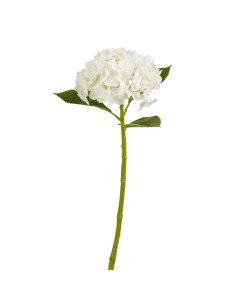 HYDRANGEA BLANCA 49CM
