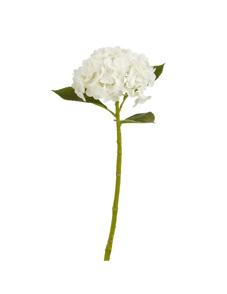 HYDRANGEA BLANCA 49CM