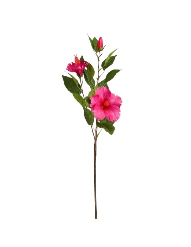 HIBISCUS ROSA 74CM