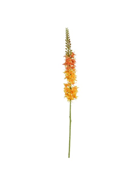 EREMURUS AMARILLO 98CM